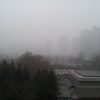 拍摄于处于空气污染下的北京团结湖公园